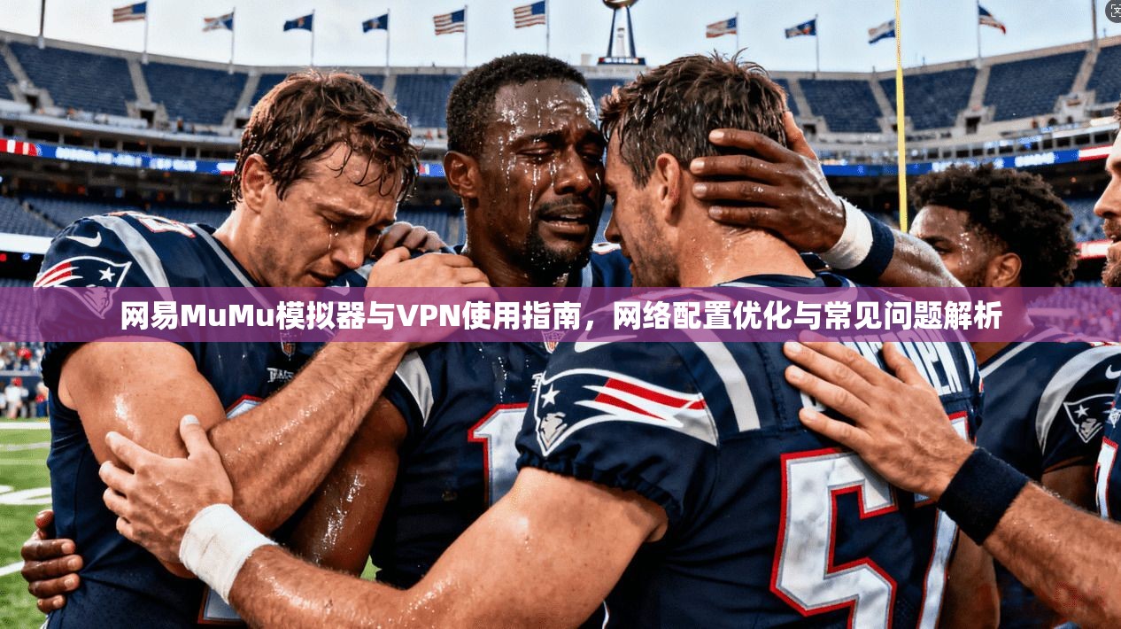 网易MuMu模拟器与VPN使用指南,网络配置优化与常见问题解析 网易MuMu模拟器与VPN使用指南,网络配置优化与常见问题解析