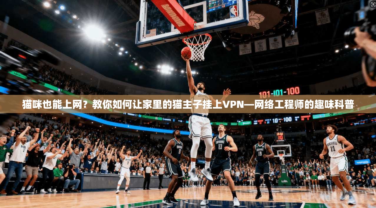 猫咪也能上网？教你如何让家里的猫主子挂上VPN—网络工程师的趣味科普