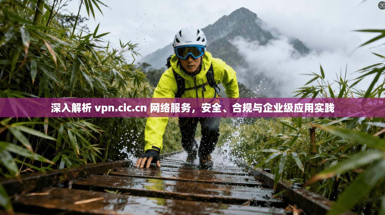 深入解析 vpn.cic.cn 网络服务，安全、合规与企业级应用实践