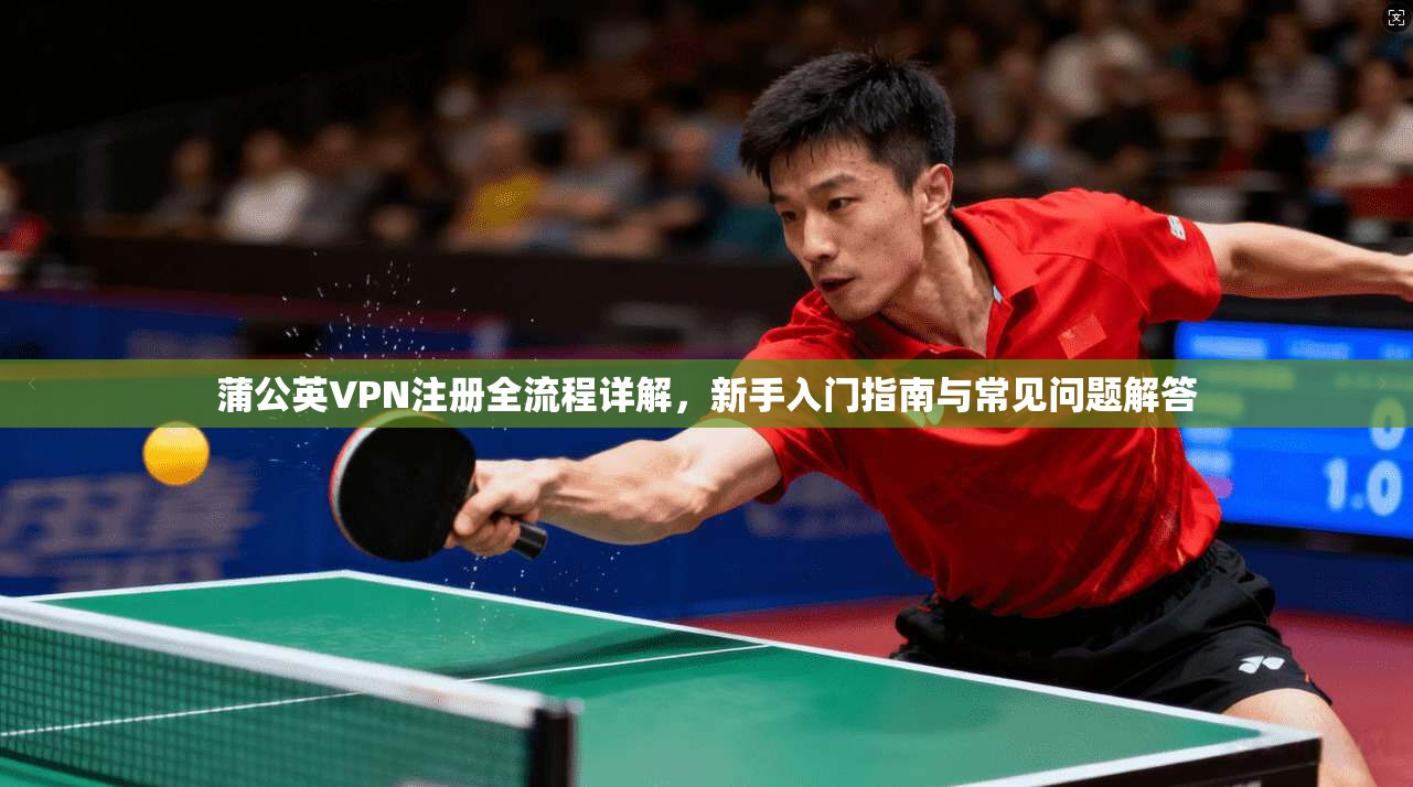 蒲公英VPN注册全流程详解，新手入门指南与常见问题解答