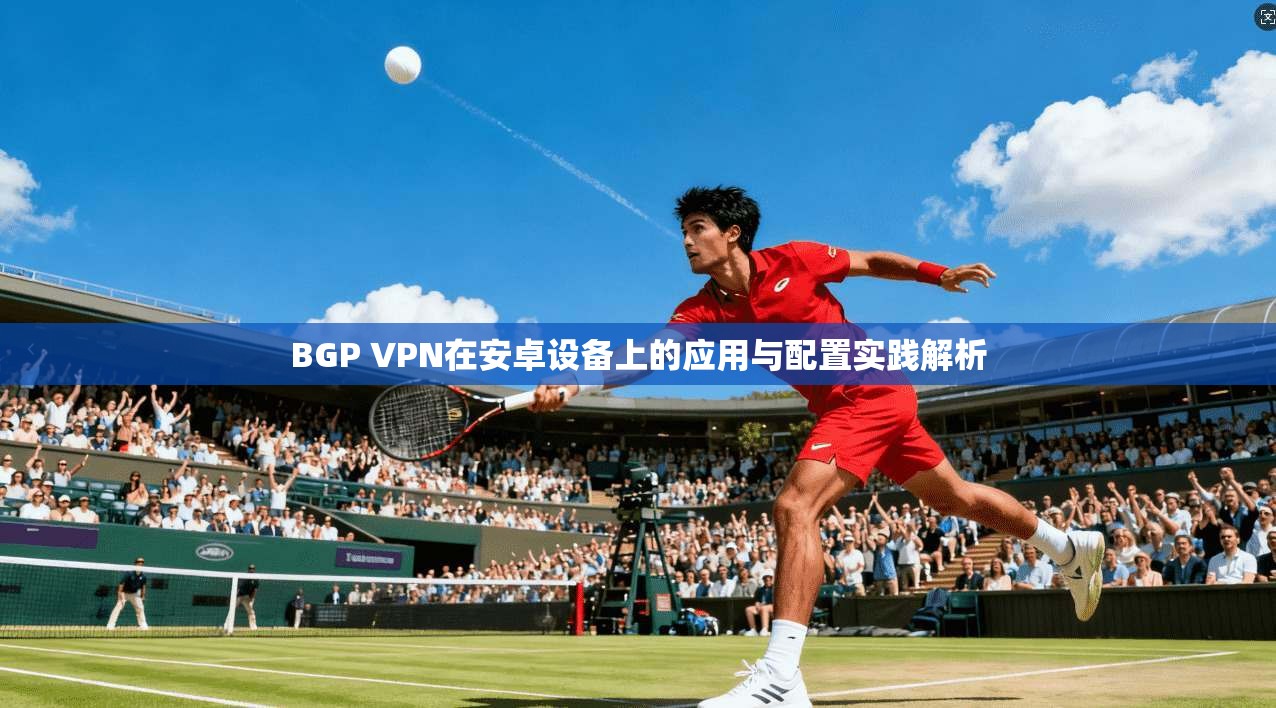 BGP VPN在安卓设备上的应用与配置实践解析