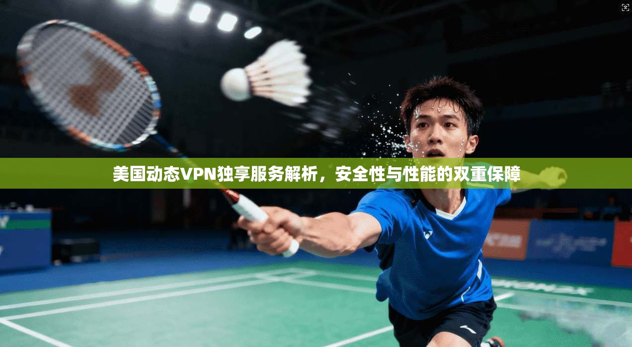 美国动态VPN独享服务解析，安全性与性能的双重保障