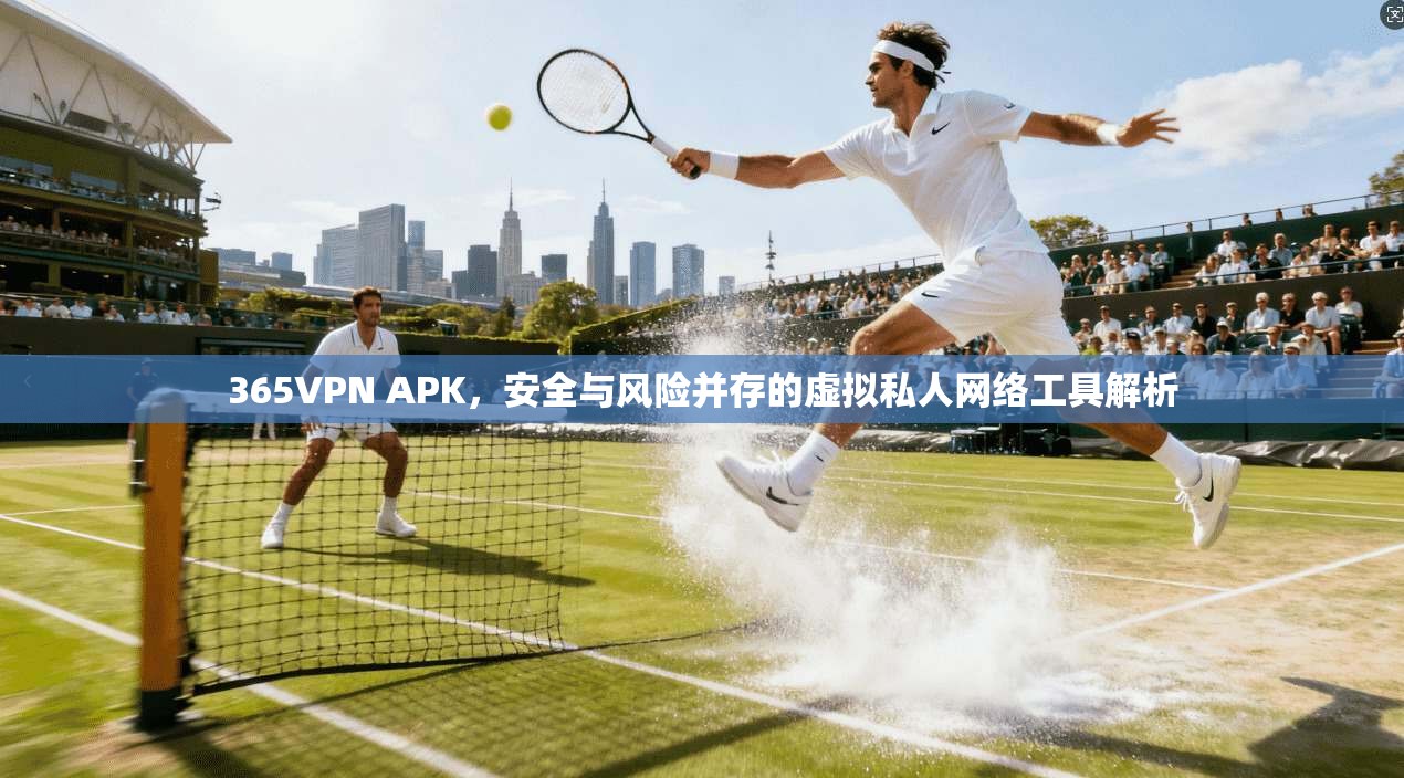 365VPN APK，安全与风险并存的虚拟私人网络工具解析