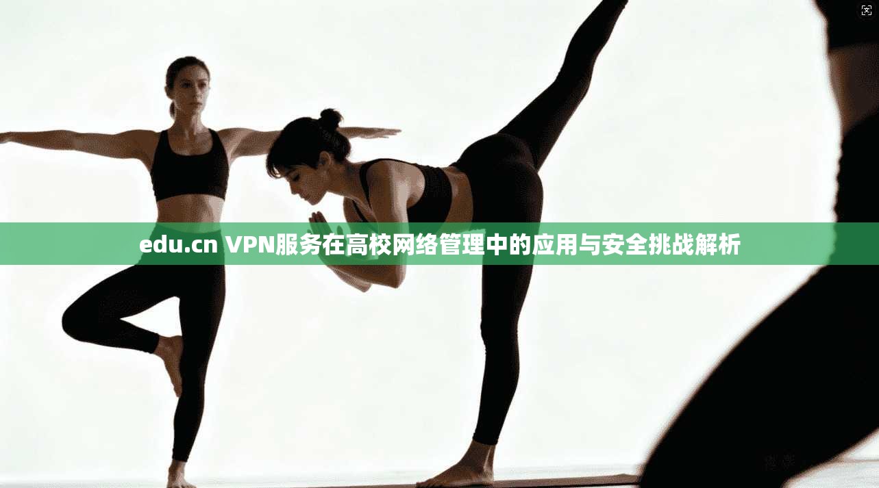 edu.cn VPN服务在高校网络管理中的应用与安全挑战解析