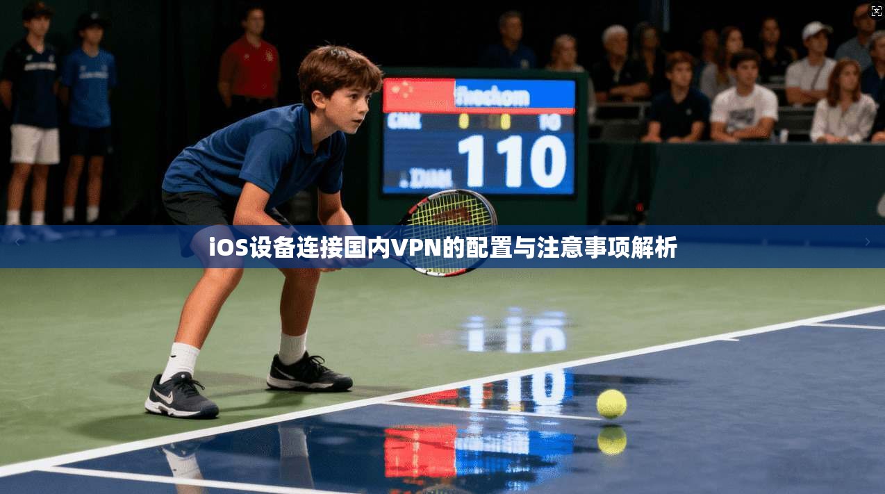 iOS设备连接国内VPN的配置与注意事项解析