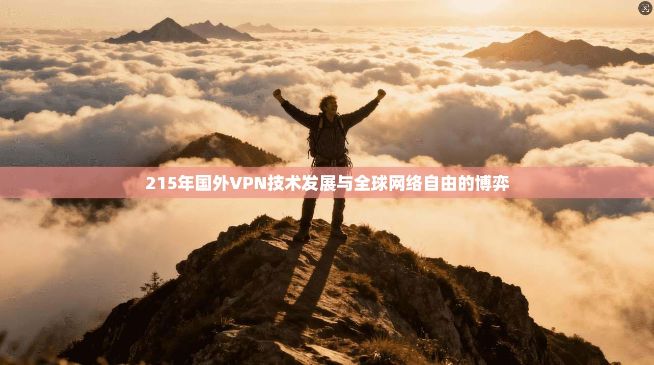 215年国外VPN技术发展与全球网络自由的博弈