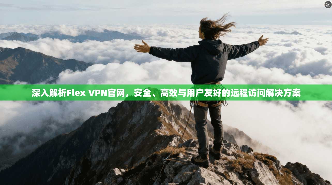 深入解析Flex VPN官网,安全、高效与用户友好的远程访问解决方案