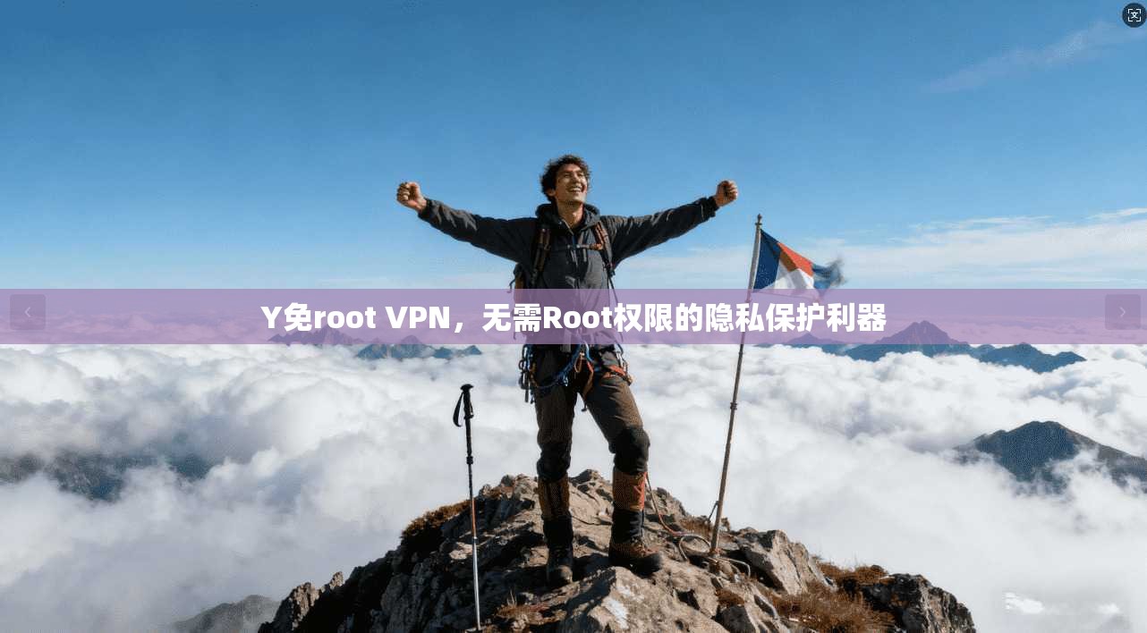 Y免root VPN，无需Root权限的隐私保护利器