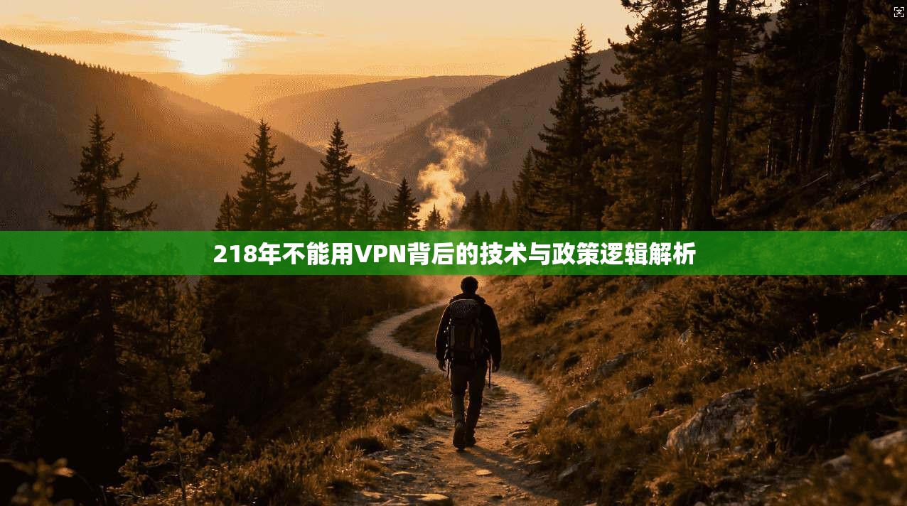 218年不能用VPN背后的技术与政策逻辑解析