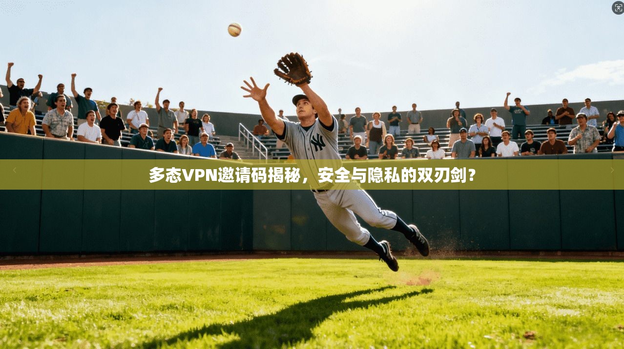 多态VPN邀请码揭秘，安全与隐私的双刃剑？
