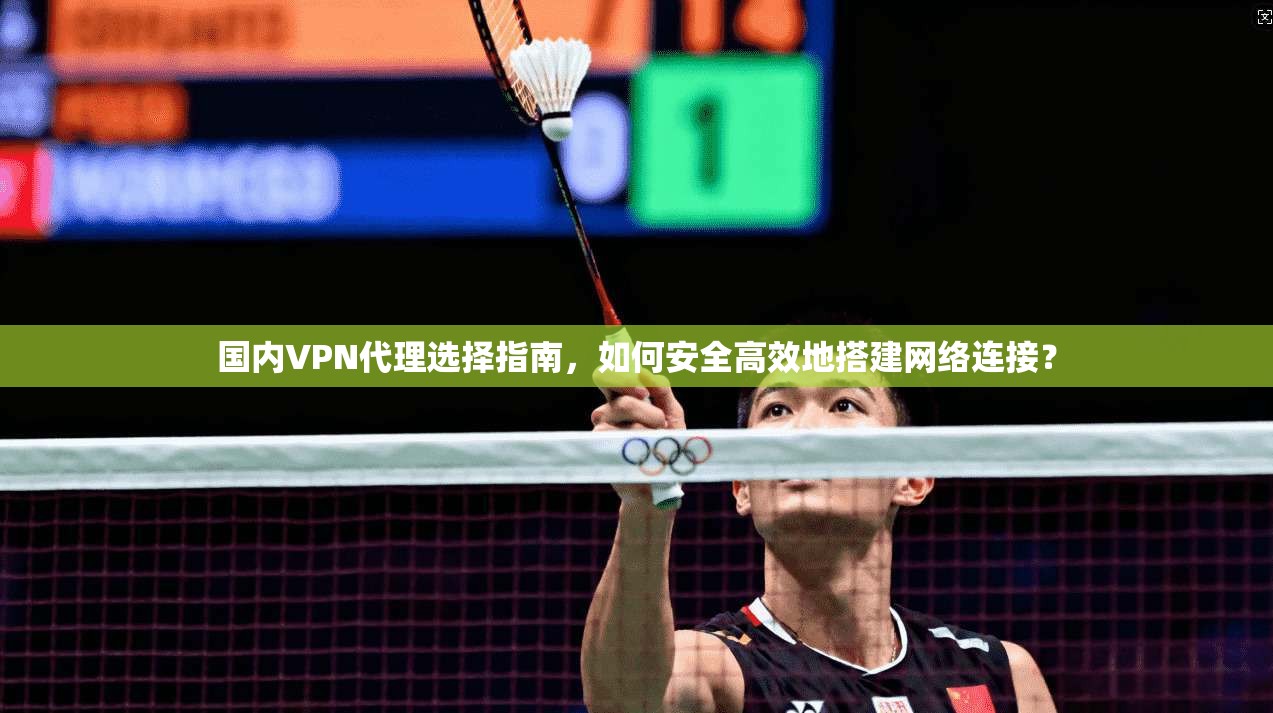 国内VPN代理选择指南，如何安全高效地搭建网络连接？