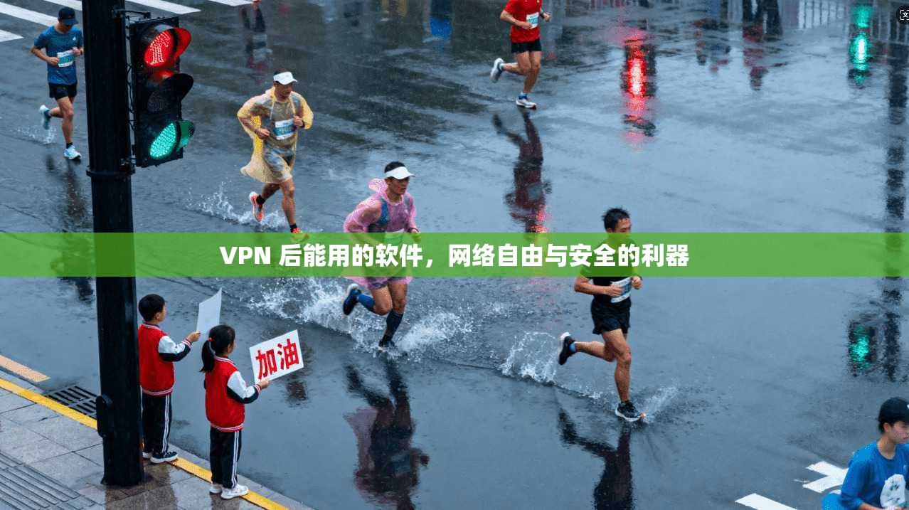 VPN 后能用的软件，网络自由与安全的利器