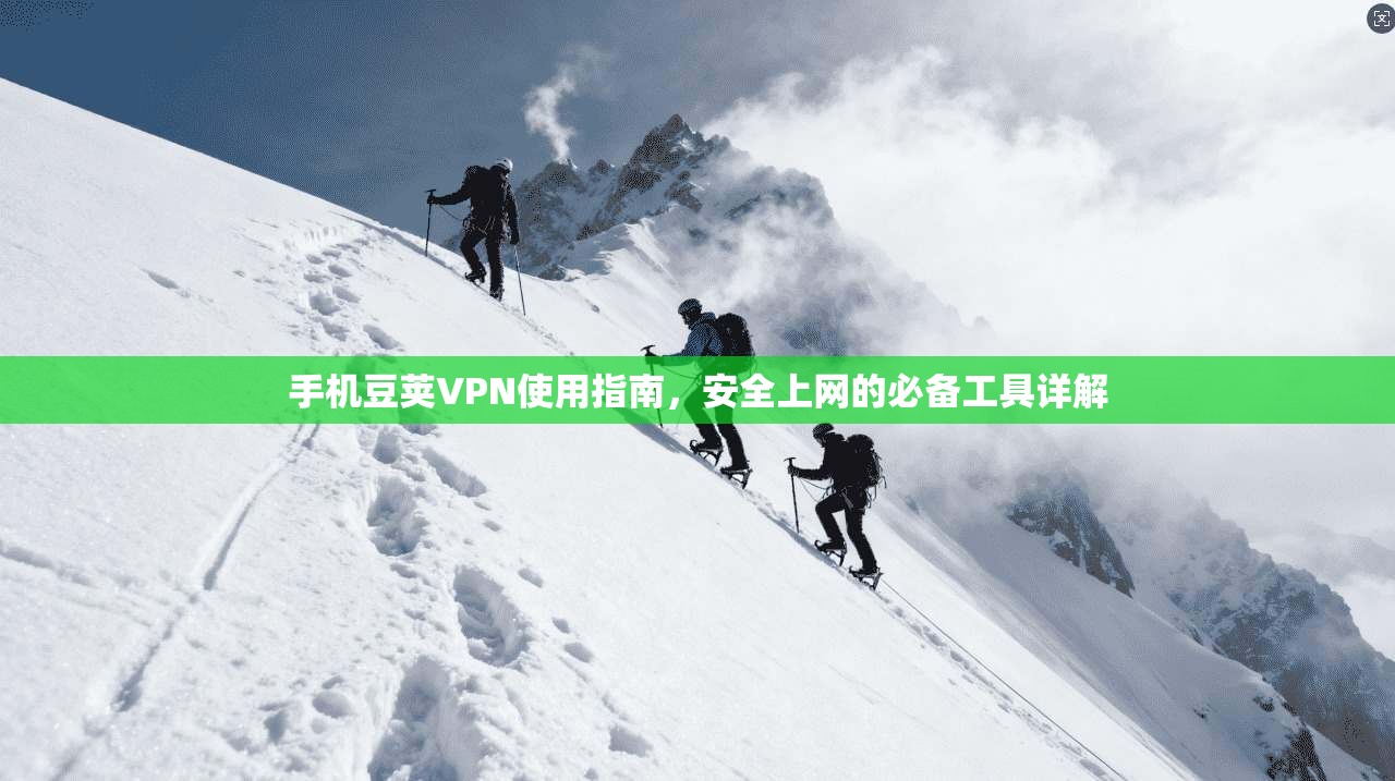 手机豆荚VPN使用指南，安全上网的必备工具详解