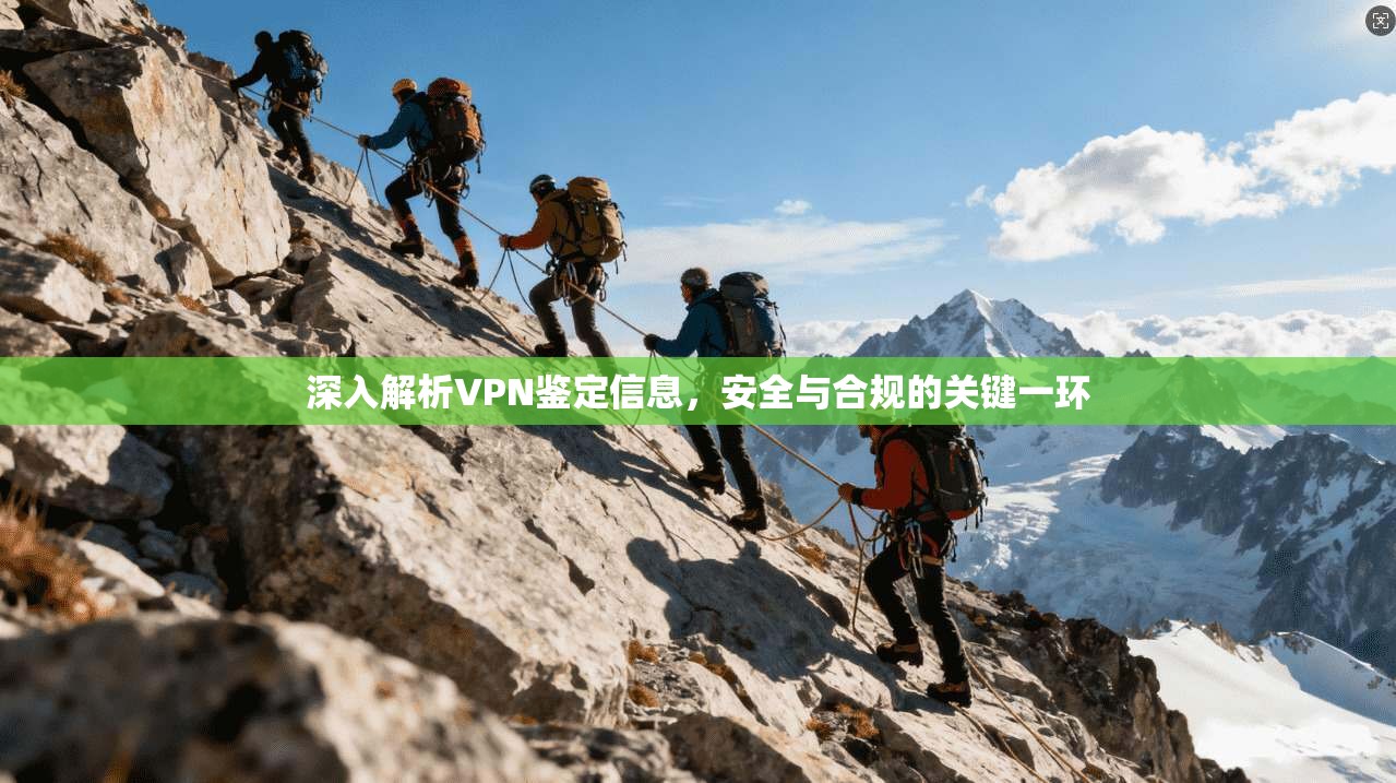 深入解析VPN鉴定信息，安全与合规的关键一环