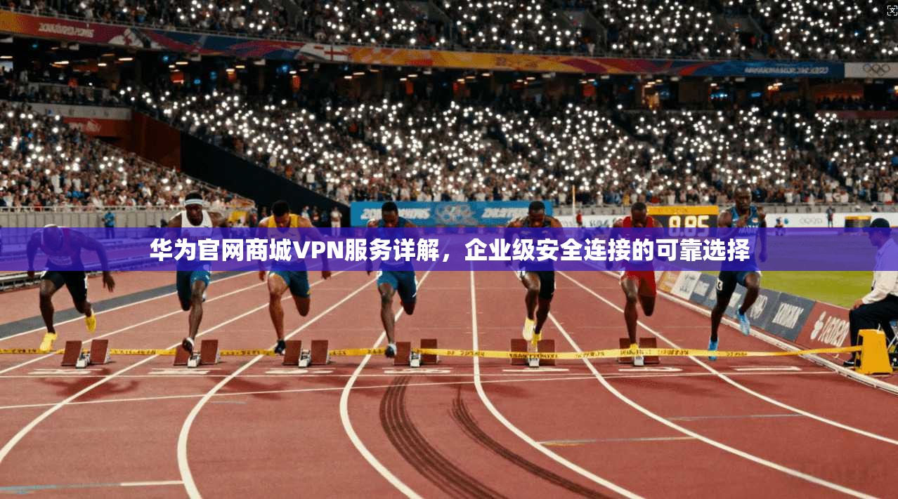 华为官网商城VPN服务详解，企业级安全连接的可靠选择