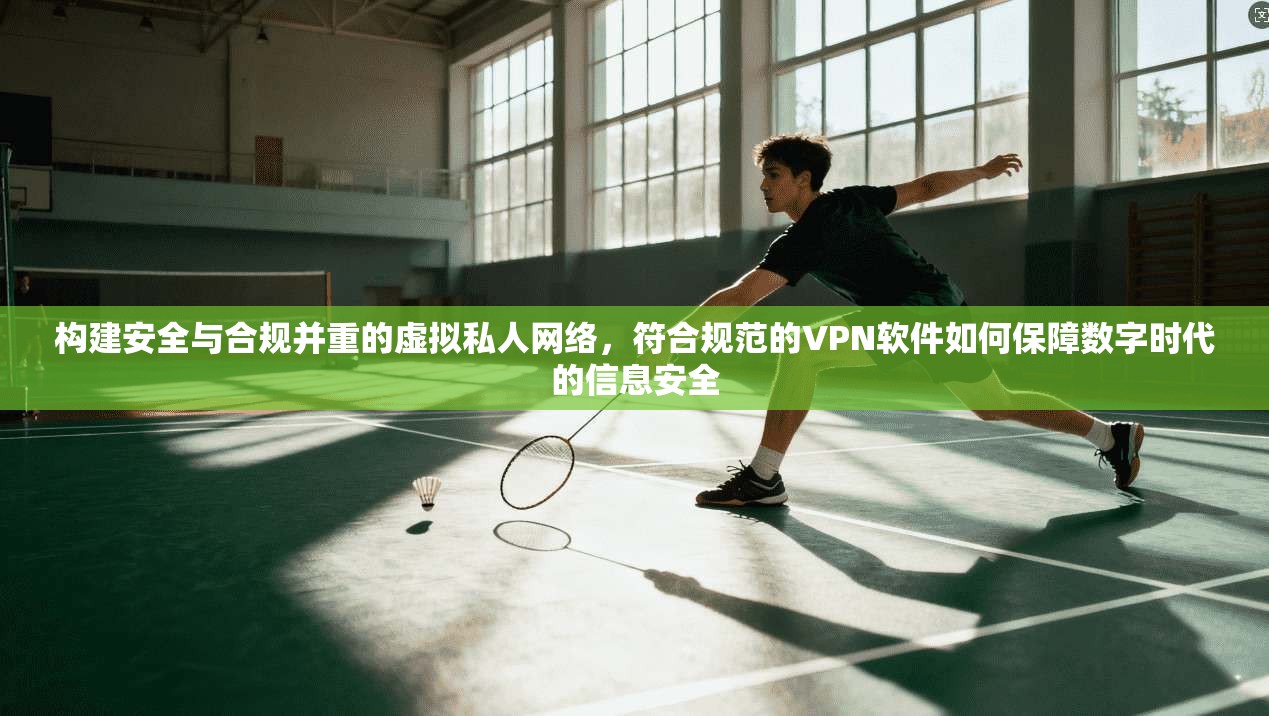 构建安全与合规并重的虚拟私人网络,符合规范的VPN软件如何保障数字时代的信息安全