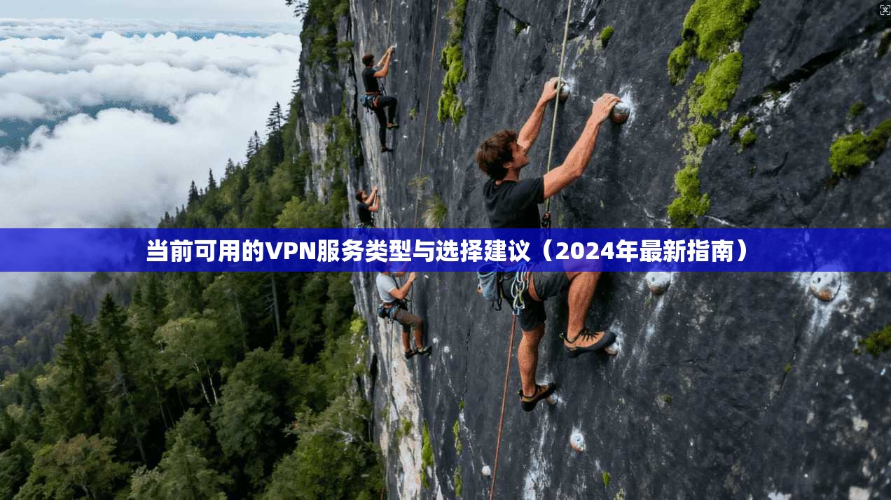 当前可用的VPN服务类型与选择建议（2024年最新指南）