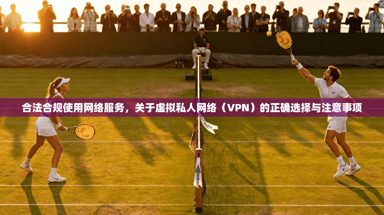 合法合规使用网络服务，关于虚拟私人网络（VPN）的正确选择与注意事项