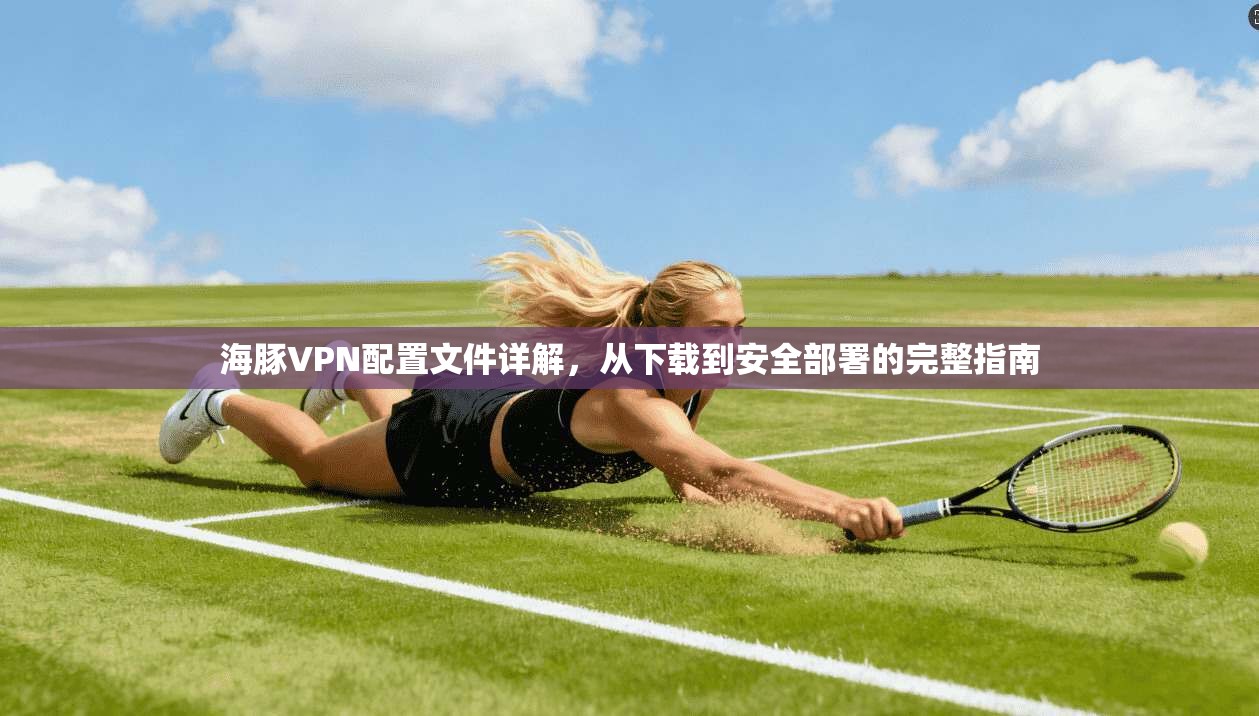 海豚VPN配置文件详解，从下载到安全部署的完整指南