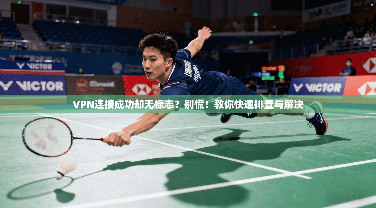 VPN连接成功却无标志？别慌！教你快速排查与解决