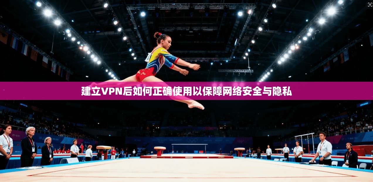 建立VPN后如何正确使用以保障网络安全与隐私
