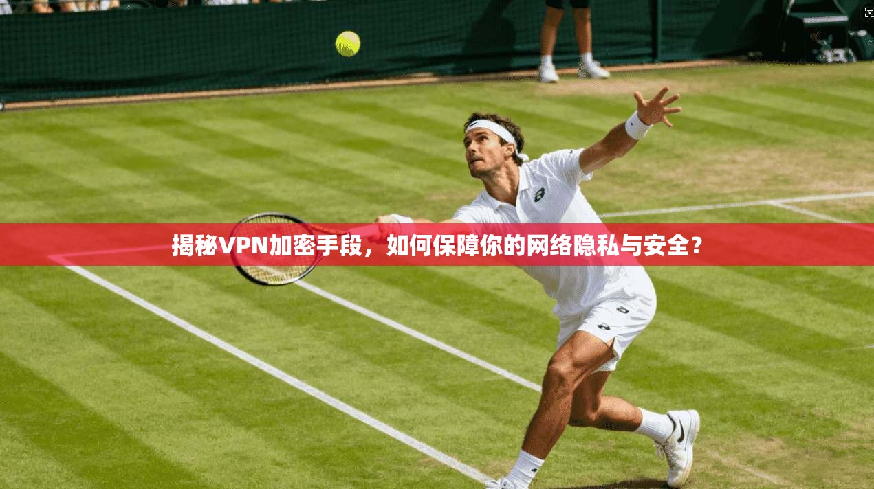 揭秘VPN加密手段，如何保障你的网络隐私与安全？