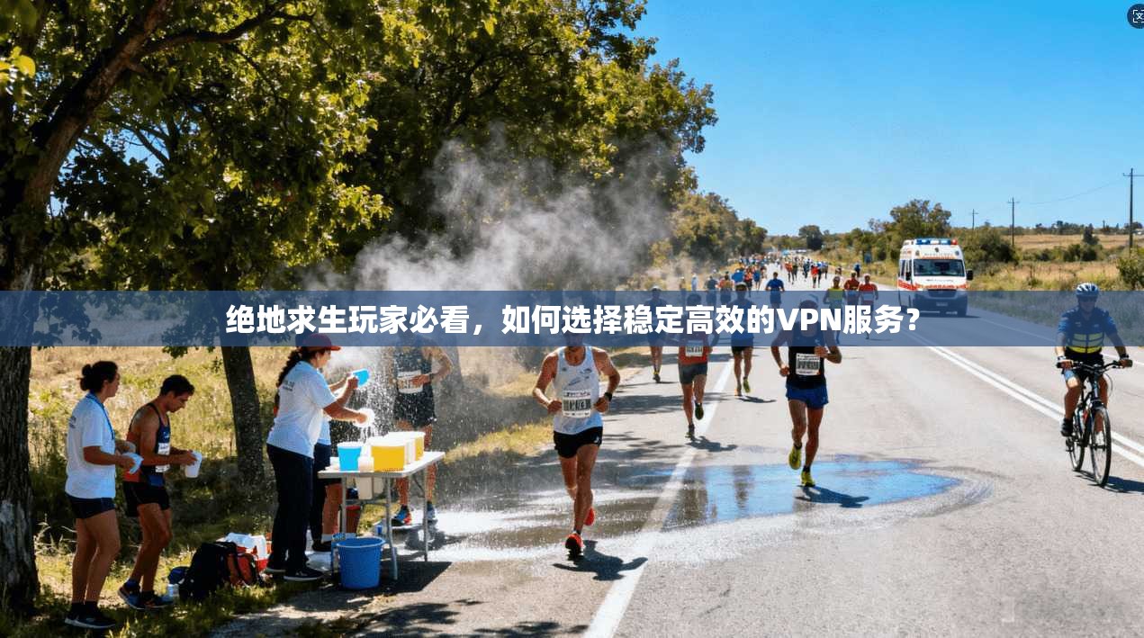 绝地求生玩家必看，如何选择稳定高效的VPN服务？