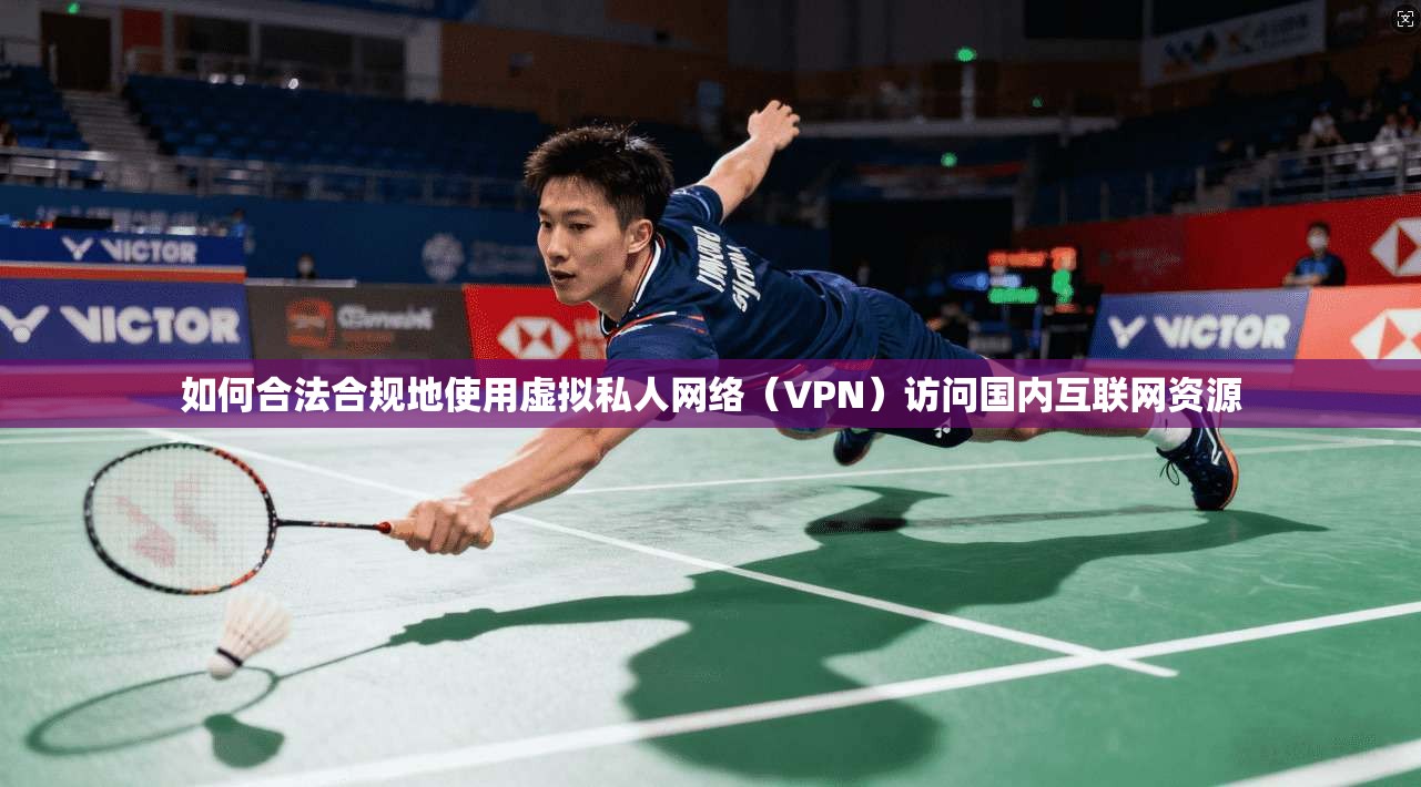 如何合法合规地使用虚拟私人网络（VPN）访问国内互联网资源