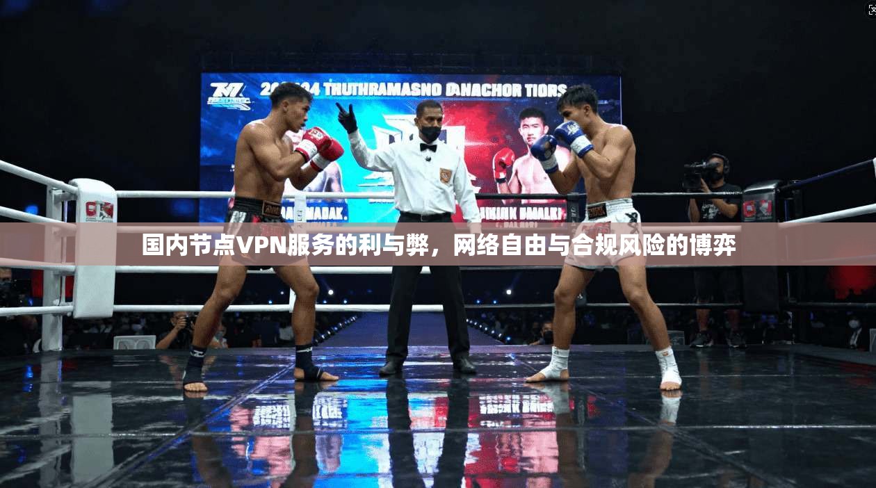 国内节点VPN服务的利与弊，网络自由与合规风险的博弈