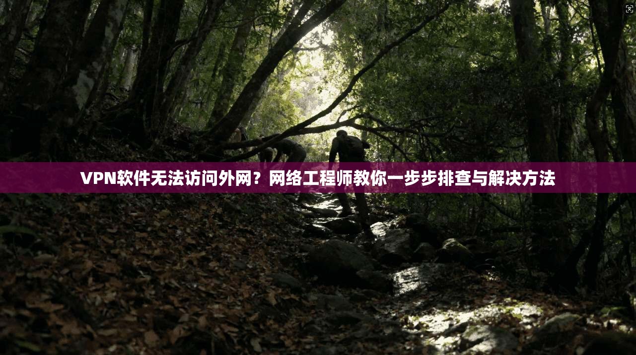 VPN软件无法访问外网？网络工程师教你一步步排查与解决方法