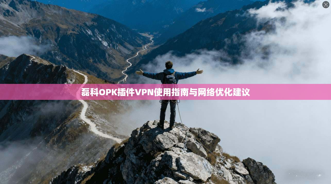 磊科OPK插件VPN使用指南与网络优化建议
