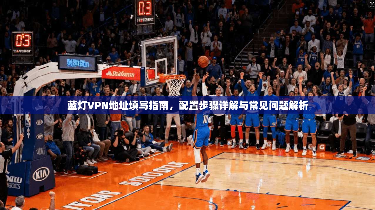 蓝灯VPN地址填写指南，配置步骤详解与常见问题解析