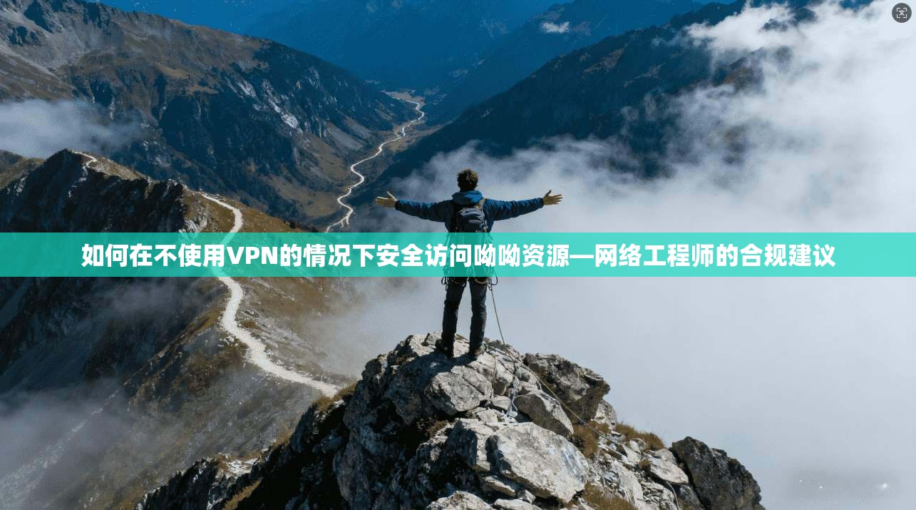 如何在不使用VPN的情况下安全访问呦呦资源—网络工程师的合规建议
