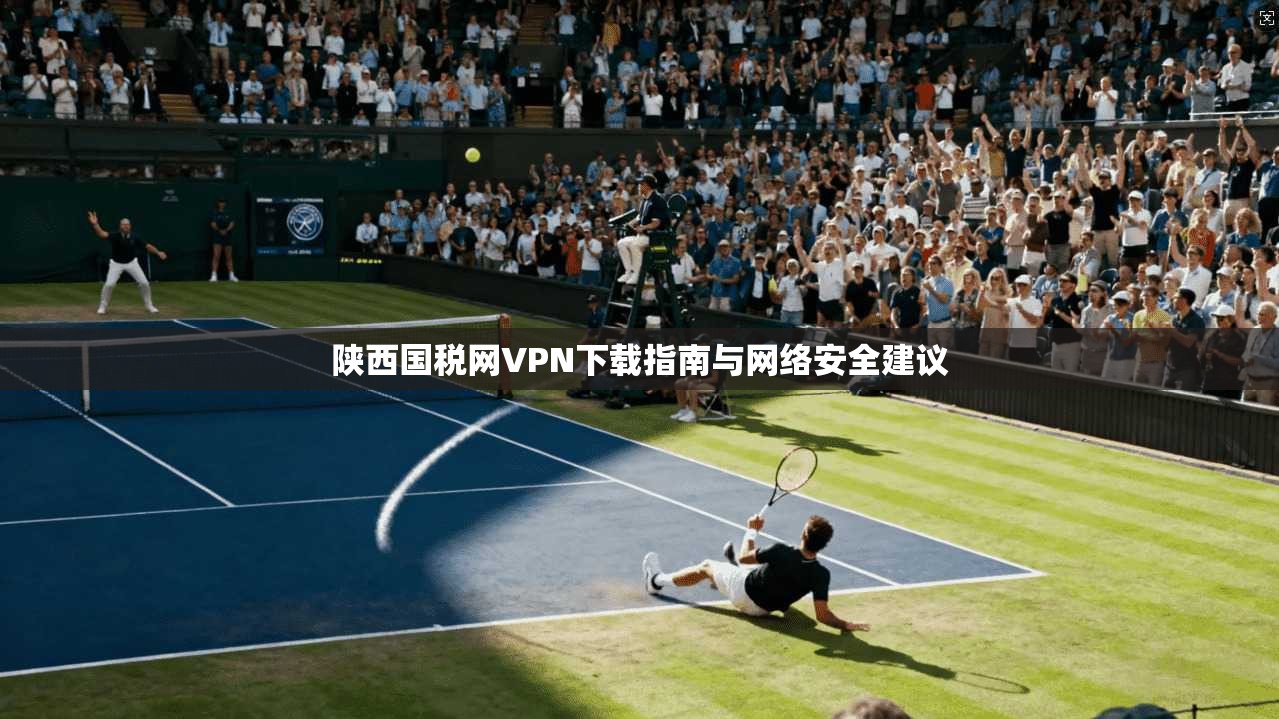 陕西国税网VPN下载指南与网络安全建议
