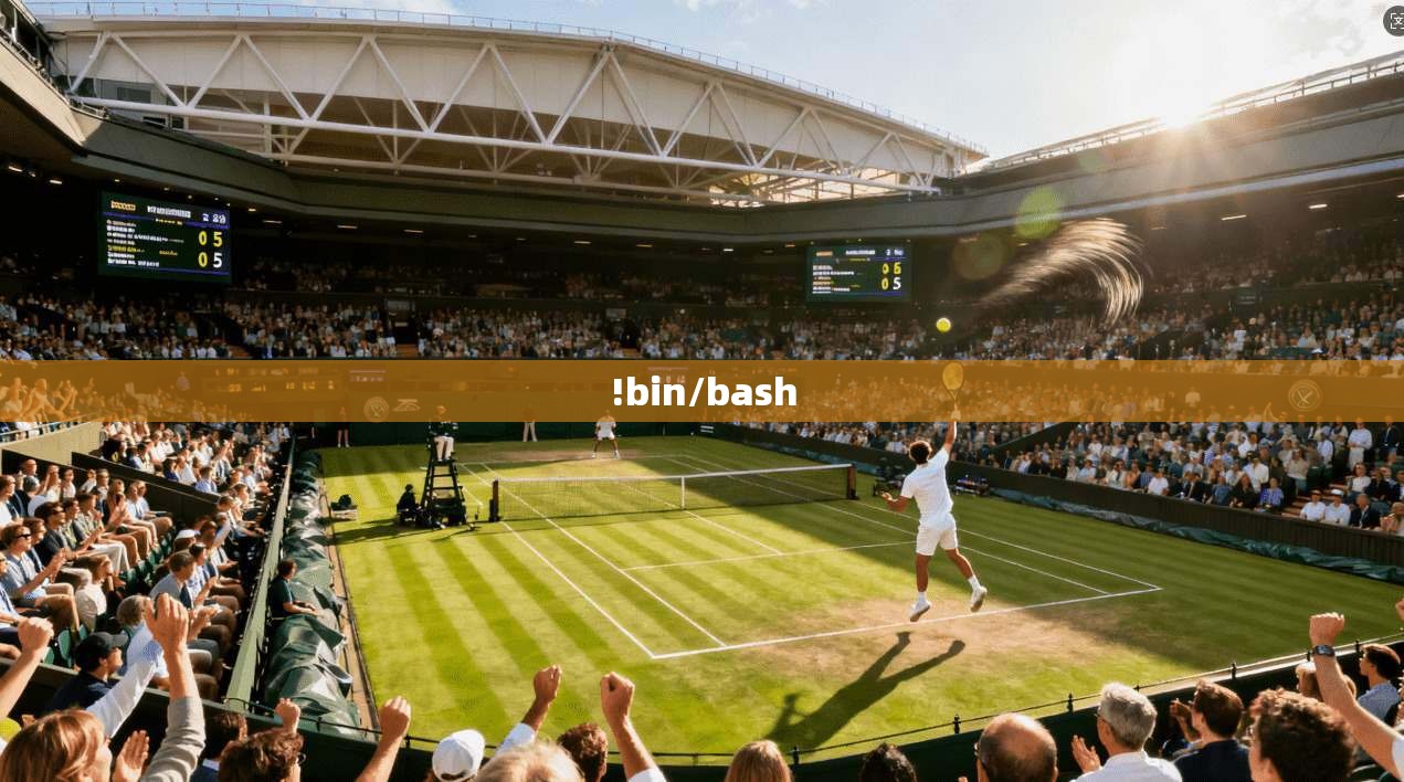 !bin/bash