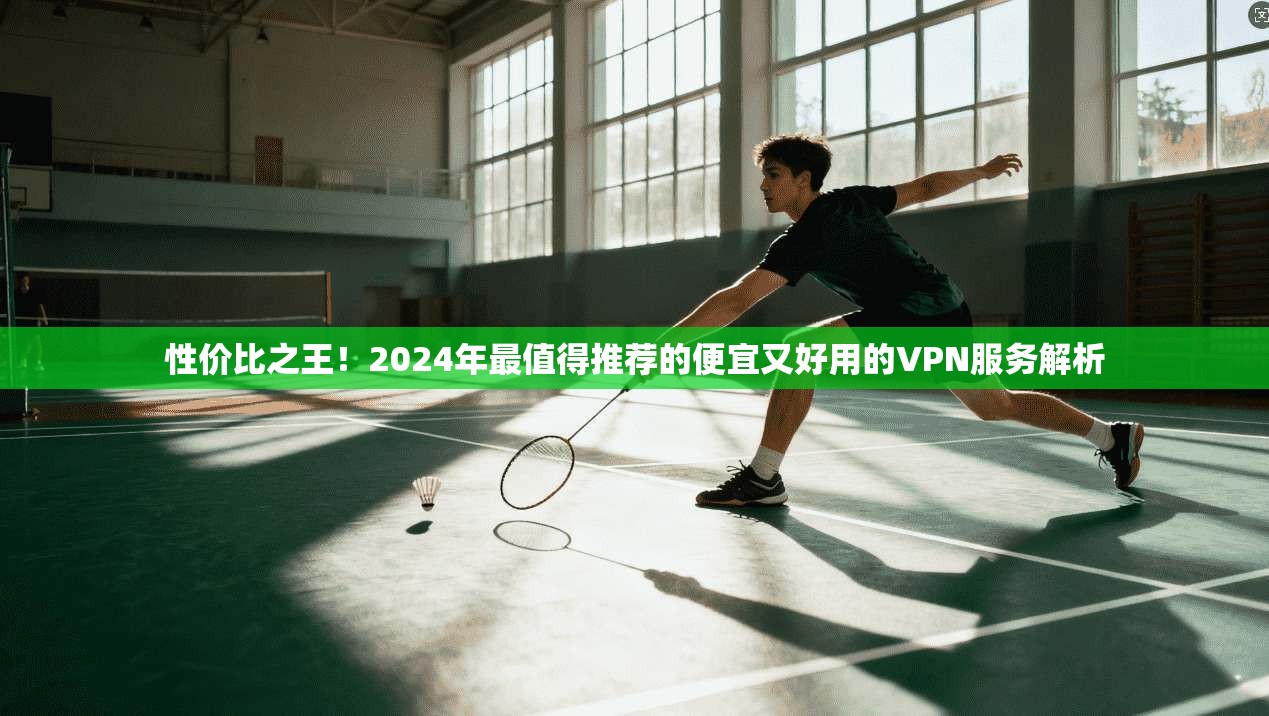 性价比之王！2024年最值得推荐的便宜又好用的VPN服务解析