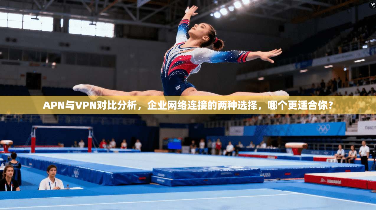 APN与VPN对比分析，企业网络连接的两种选择，哪个更适合你？