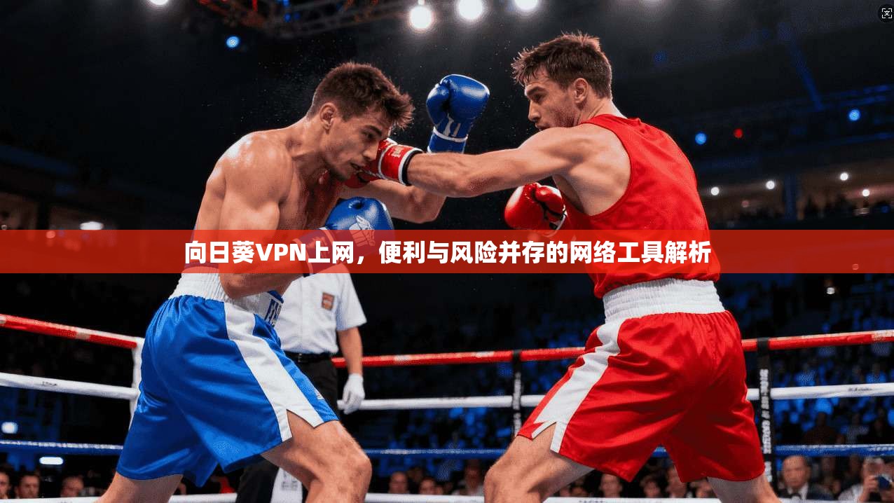 向日葵VPN上网，便利与风险并存的网络工具解析