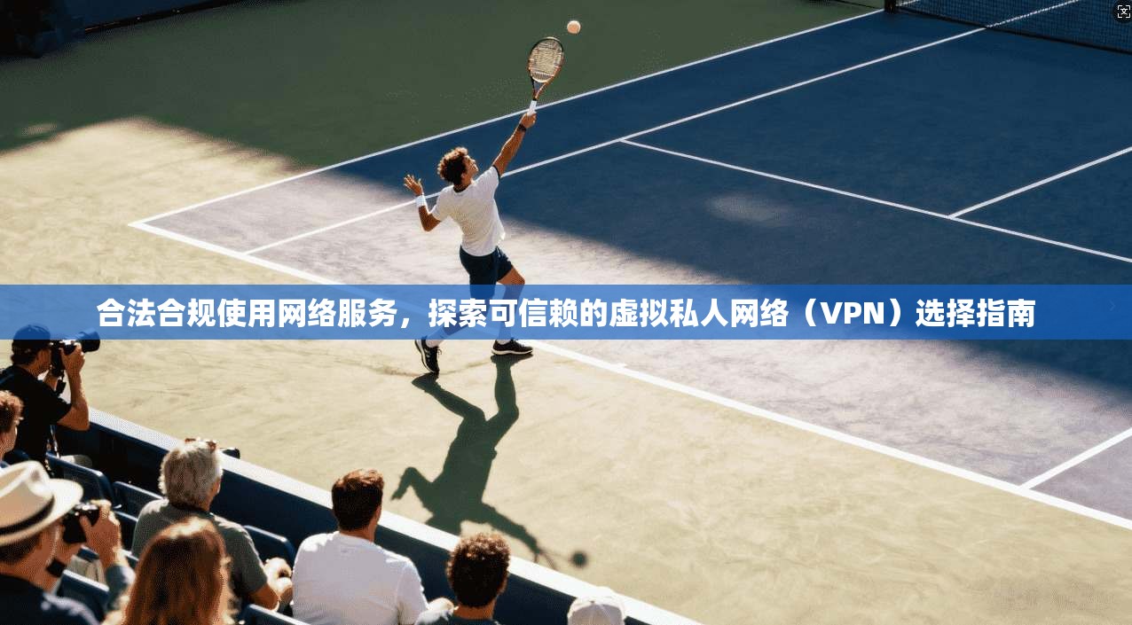 合法合规使用网络服务，探索可信赖的虚拟私人网络（VPN）选择指南