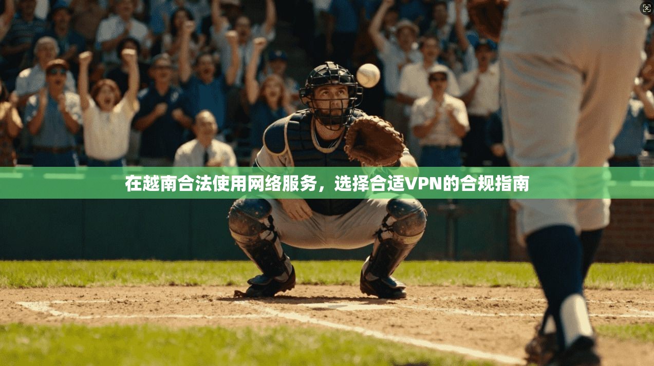 在越南合法使用网络服务，选择合适VPN的合规指南