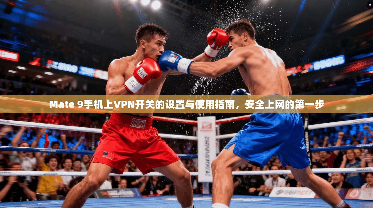Mate 9手机上VPN开关的设置与使用指南,安全上网的第一步
