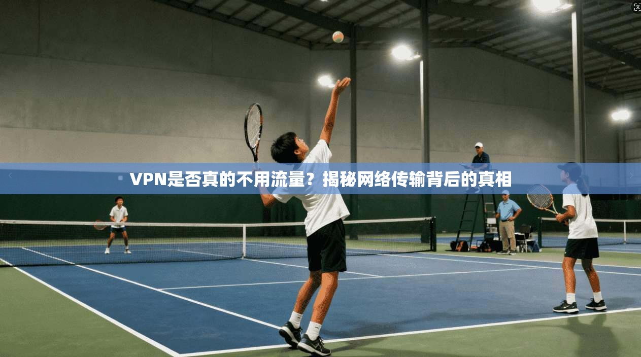 VPN是否真的不用流量？揭秘网络传输背后的真相