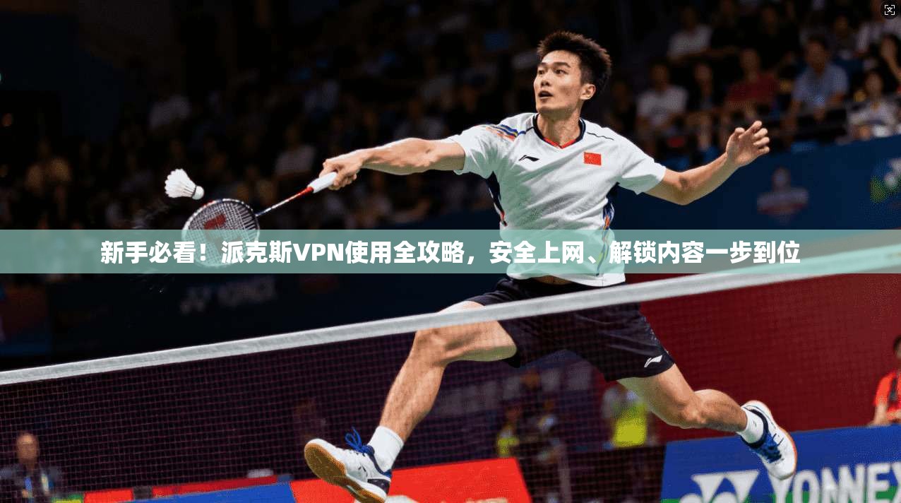新手必看！派克斯VPN使用全攻略，安全上网、解锁内容一步到位