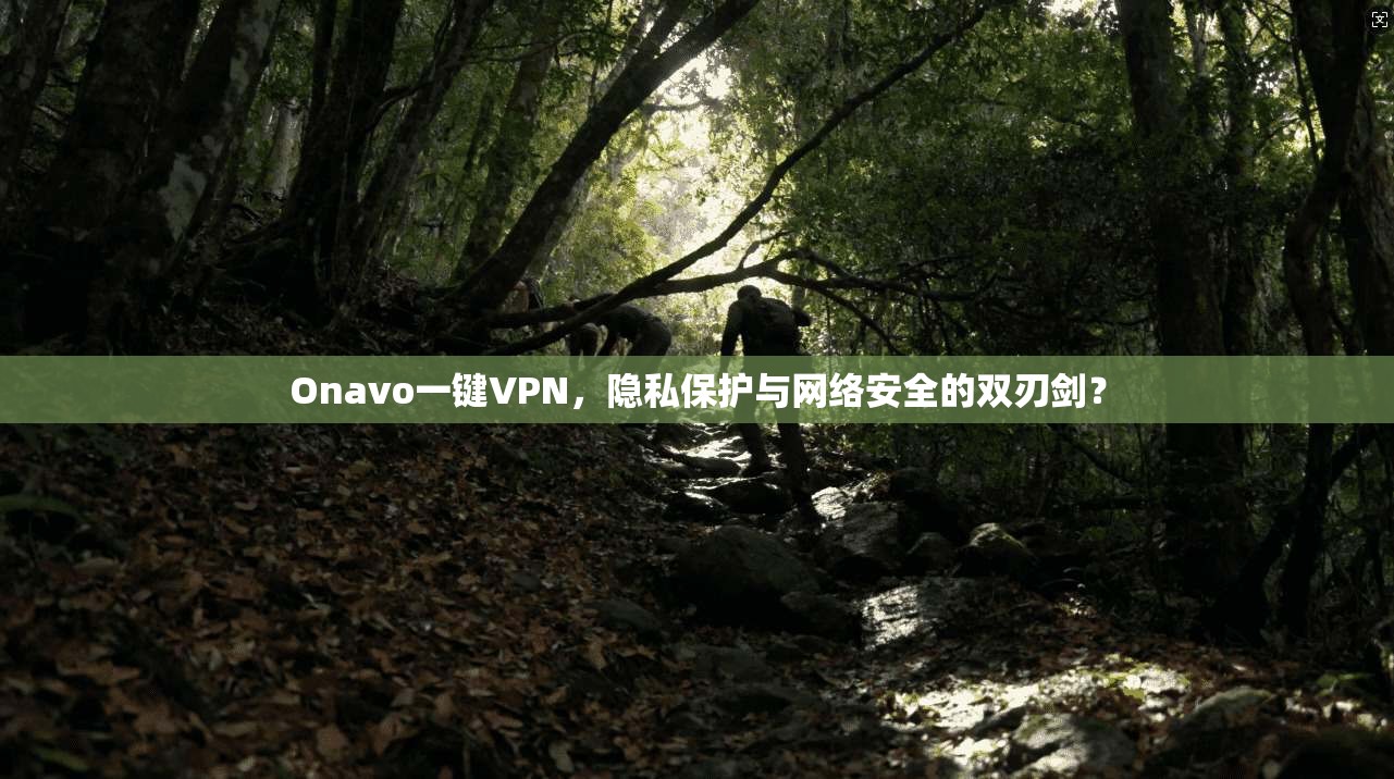 Onavo一键VPN,隐私保护与网络安全的双刃剑?