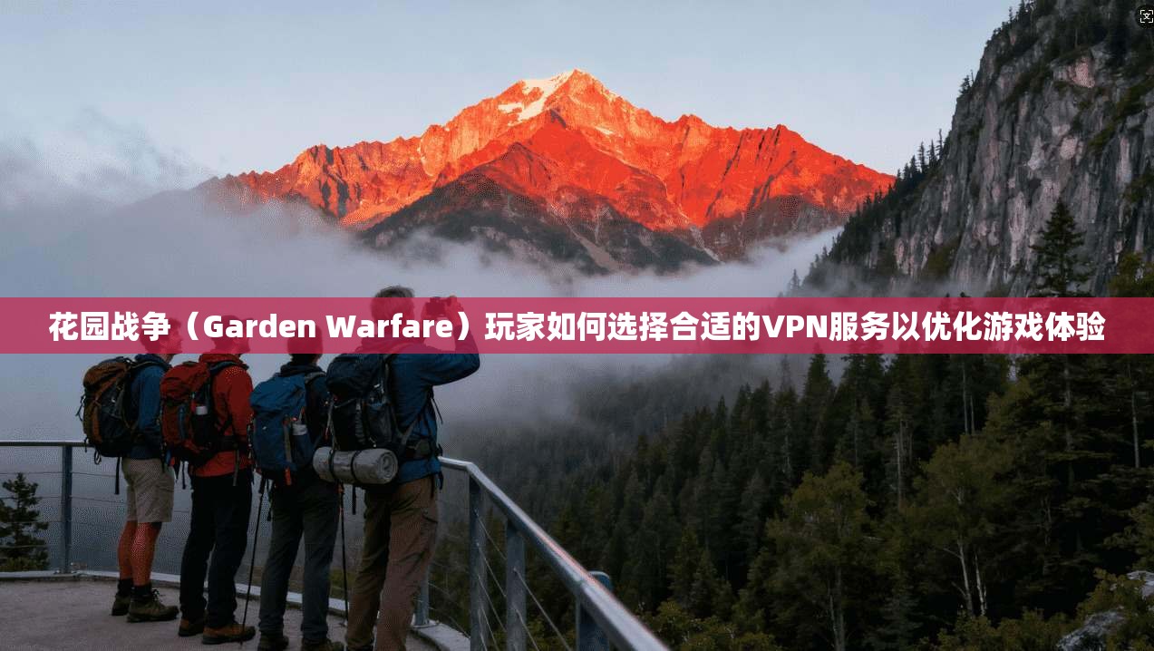 花园战争（Garden Warfare）玩家如何选择合适的VPN服务以优化游戏体验