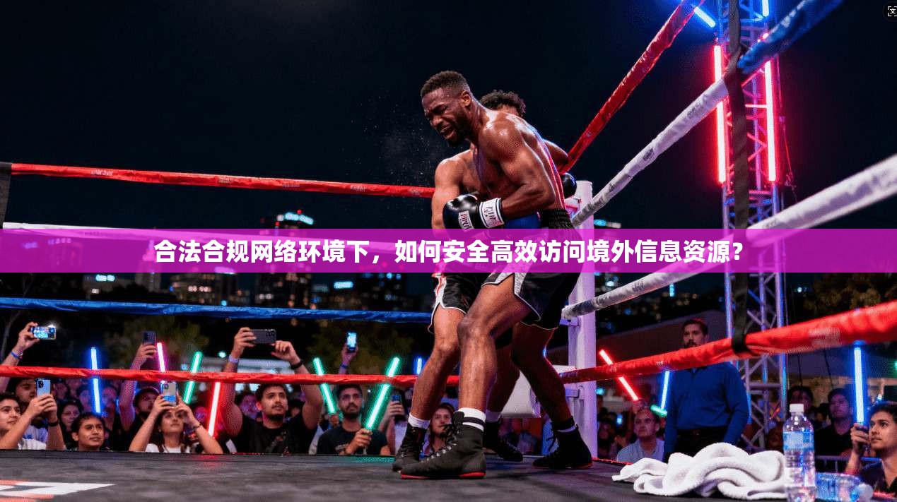 合法合规网络环境下，如何安全高效访问境外信息资源？