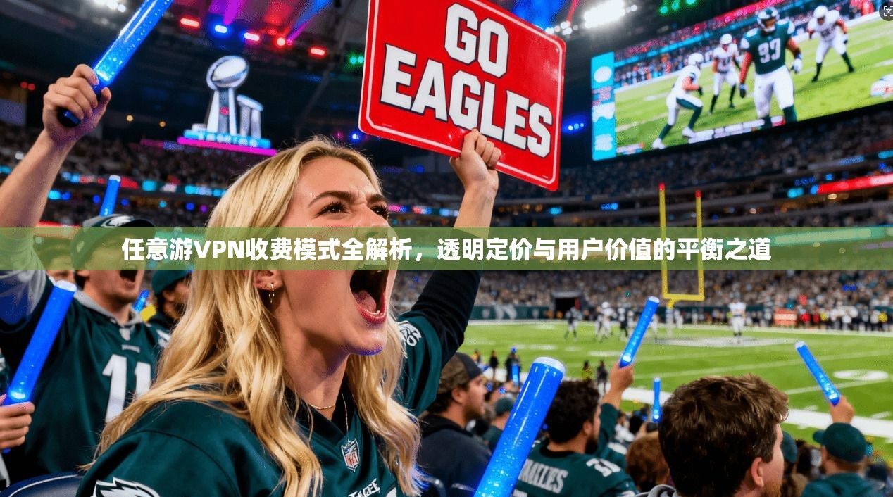 任意游VPN收费模式全解析，透明定价与用户价值的平衡之道