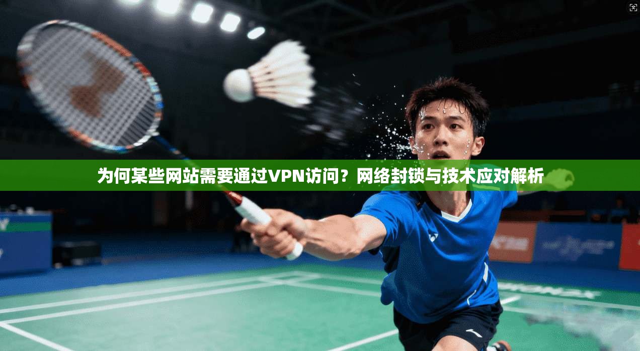 为何某些网站需要通过VPN访问？网络封锁与技术应对解析