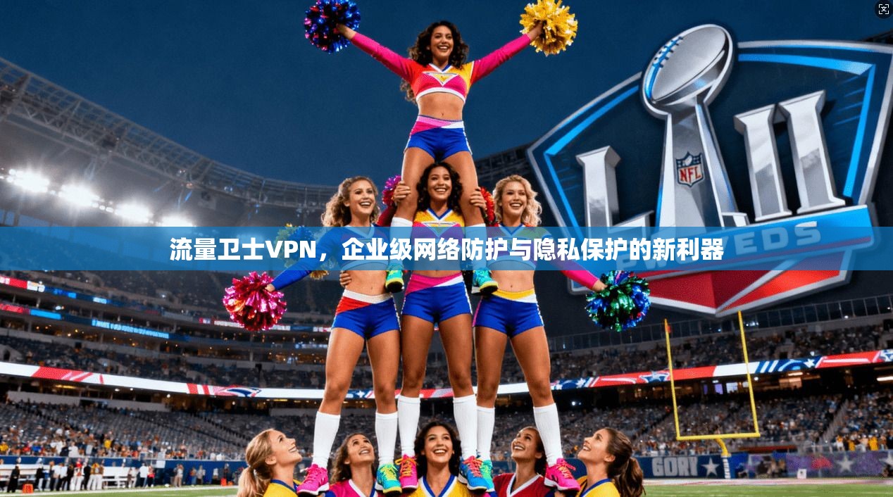 流量卫士VPN,企业级网络防护与隐私保护的新利器