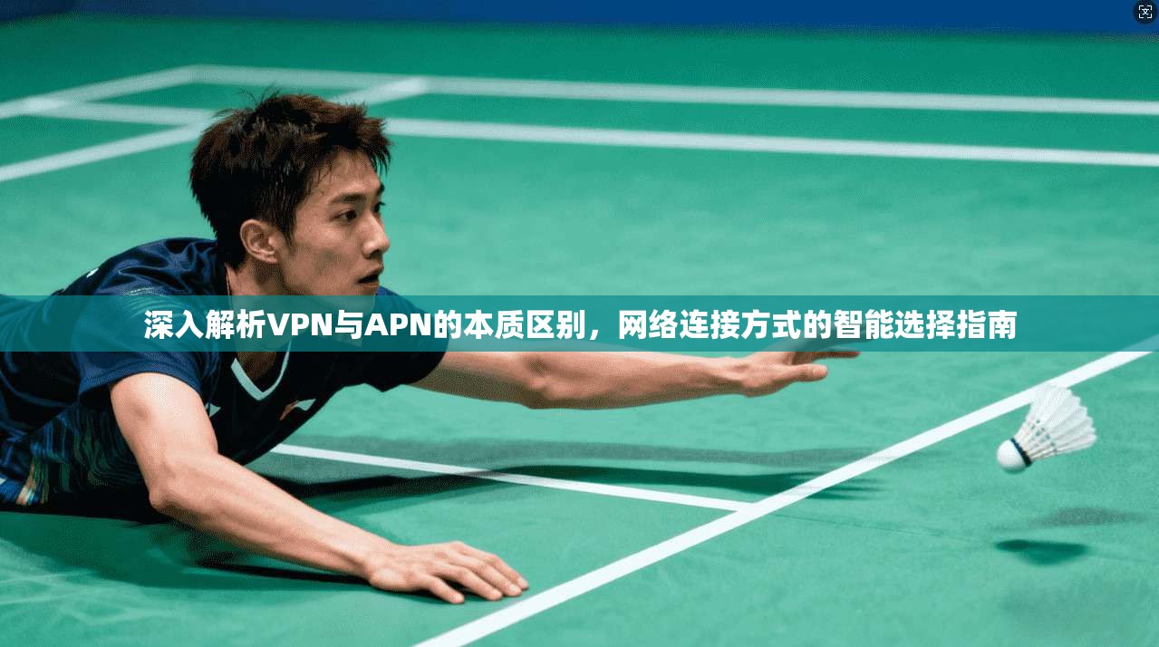 深入解析VPN与APN的本质区别，网络连接方式的智能选择指南